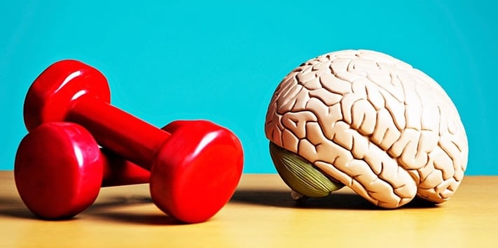 2016_11_Blog_10-Ways-to-Maintain-a-Healthy-Brain.jpg